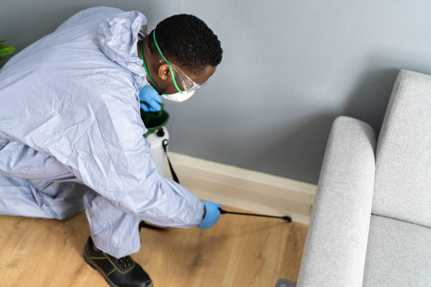 Reliable Gilbertsville, PA Pest control Solutions